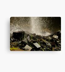 Force Canvas Print