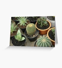 cactus Greeting Card