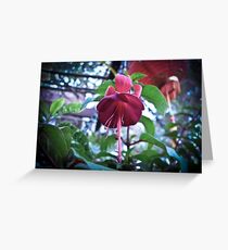 Fuchsia Greeting Card