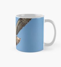 Osprey flying Mug
