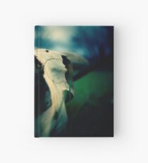 Left Behind - 2 Hardcover Journal