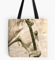 Horse in Antigua Tote Bag