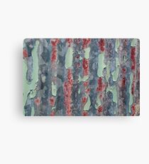 Seeking How To Age Gracefully Canvas Print