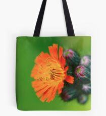 Hieracium aurantiacum (Compositae) Tote Bag