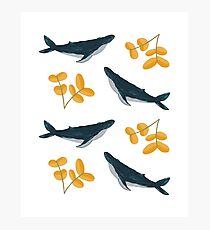 Lámina fotográfica Patrón de ballenas y flores felices