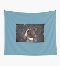 Star Gazer Wall Tapestry