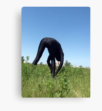 Black Zentai in the Field 2 Canvas Print