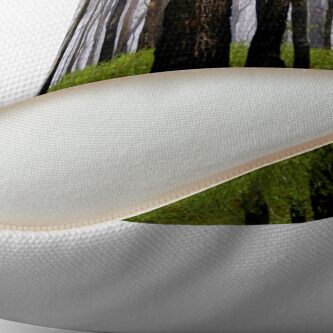 Alternate view of Tall trees in the Mist Throw Pillow