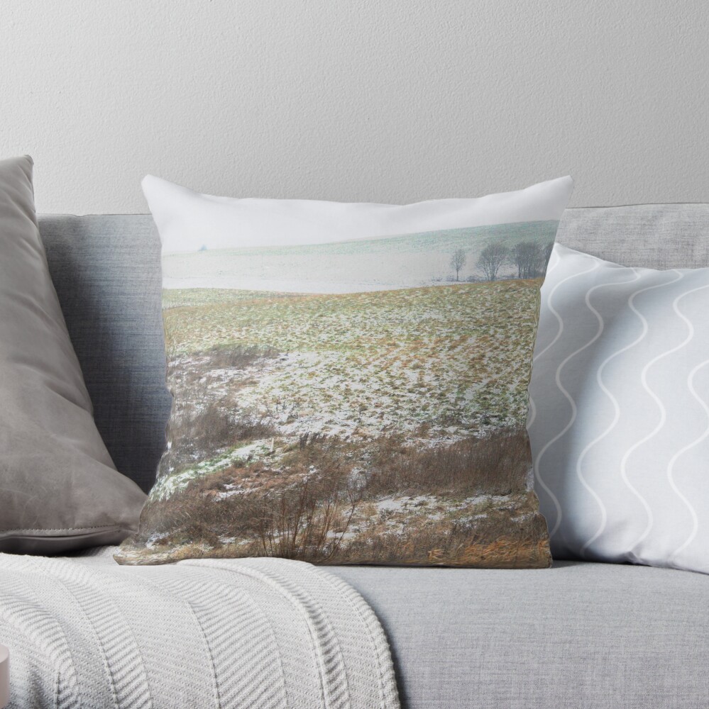 The First Step of Winter Throw Pillow