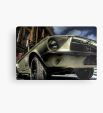 Mustang Metal Print