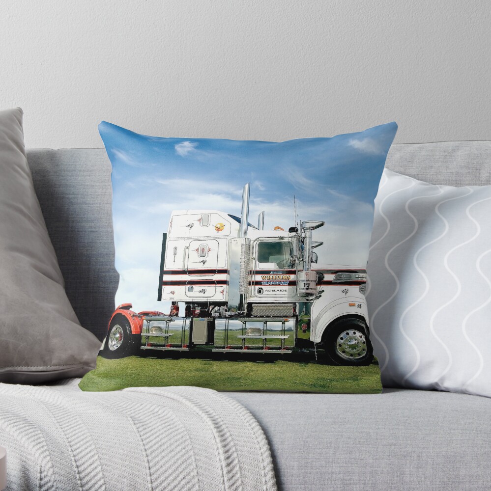 J & K Williams T904 Throw Pillow