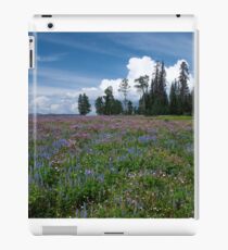 Invincible iPad Case/Skin