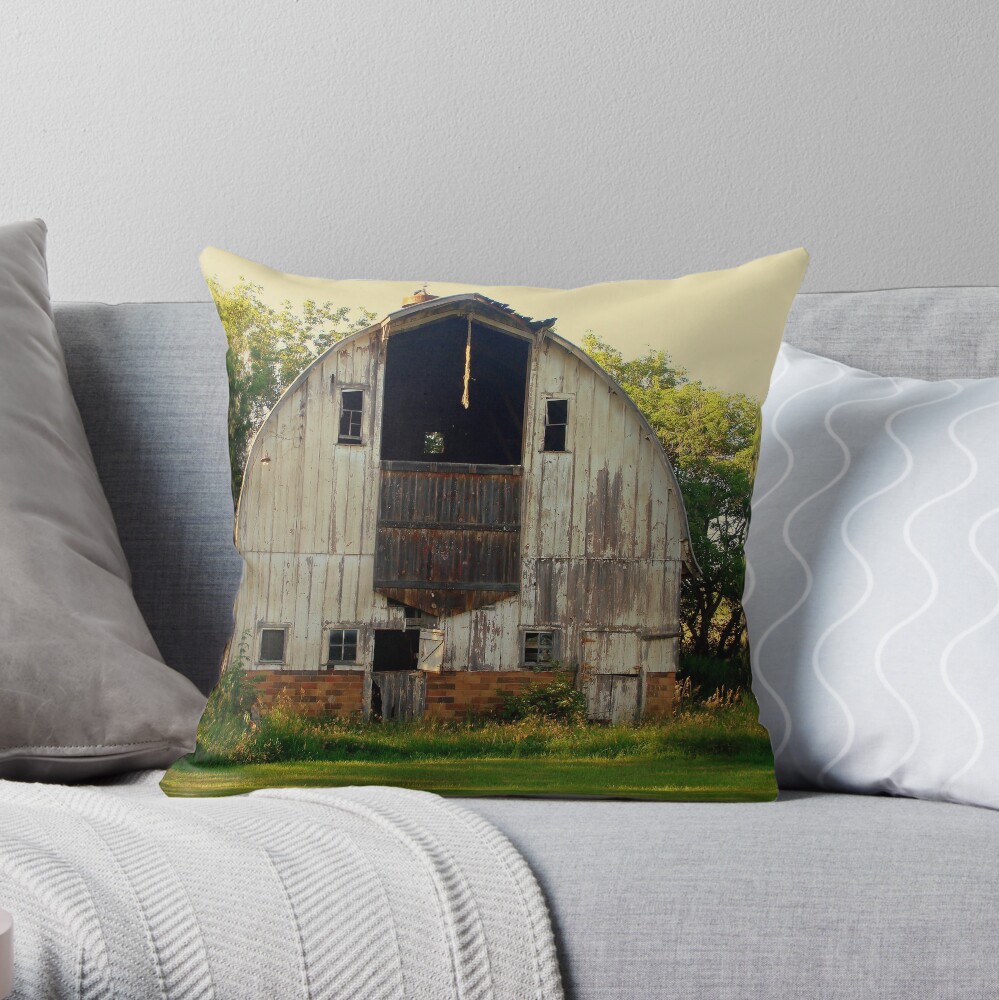 Age of the Heart Throw Pillow