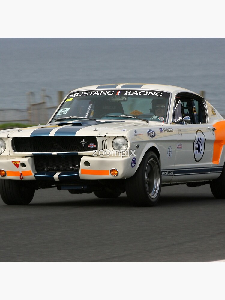 GT 350 by zoompix