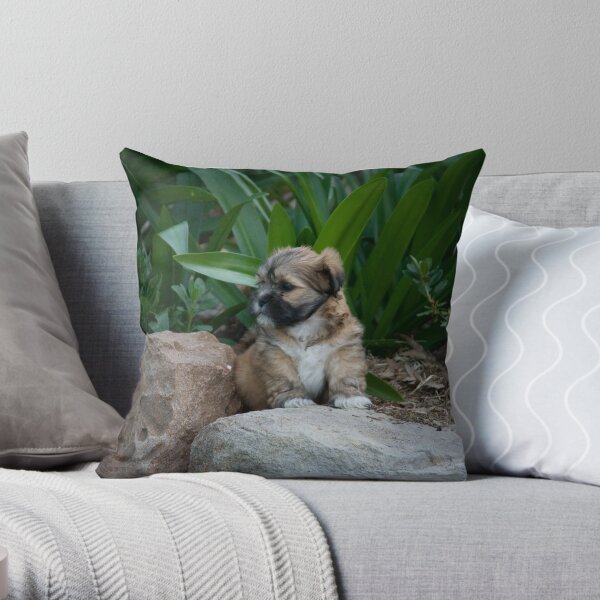 I am the King Throw Pillow