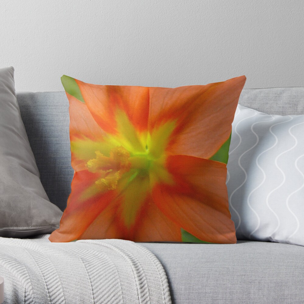 Untitled Throw Pillow