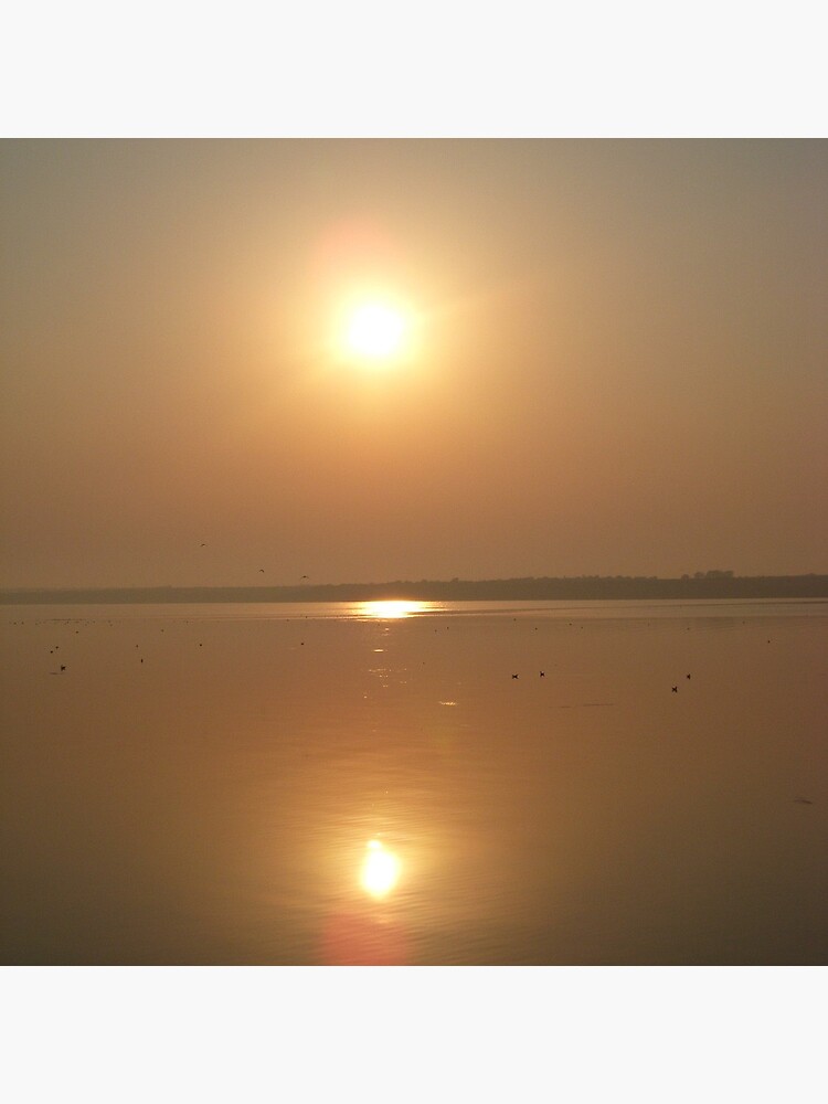 The Sun and The Sea by Anthropolog