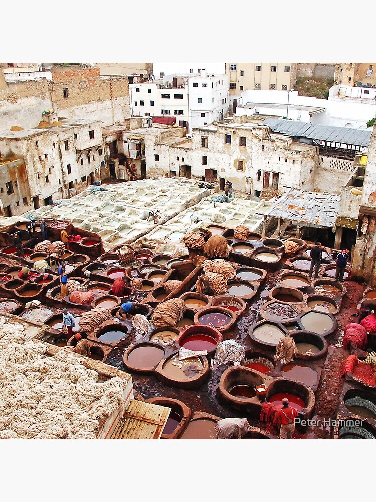 A tannery in Fes by PeterH