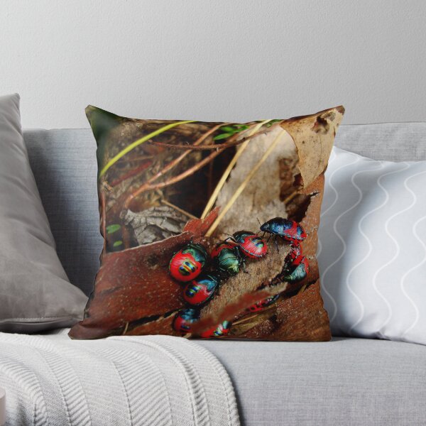 Jewelled bug series - Ground Shield Bugs - Choerocoris paganus Throw Pillow