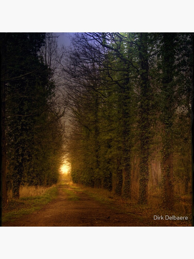 Path; Light by Delbaere