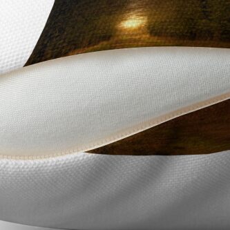 Alternate view of Path; Light Throw Pillow