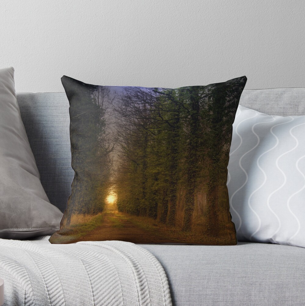 Path; Light Throw Pillow