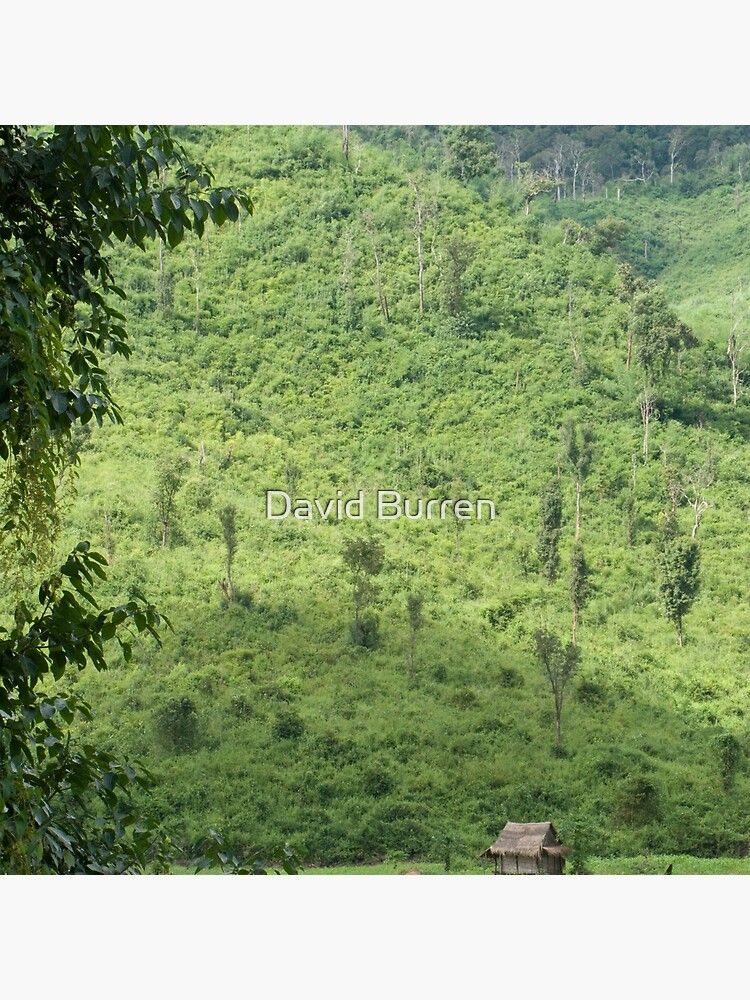 Laotian field hut by DavidBurren