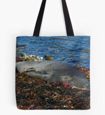 Lazin on a Sunny Afternoon Tote Bag