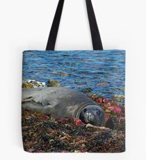 Lazin on a Sunny Afternoon Tote Bag