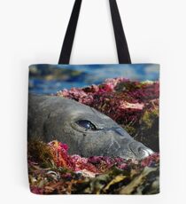 Lazin on a Sunny Afternoon Tote Bag