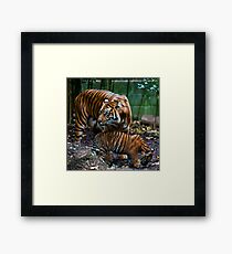 Protection Framed Print