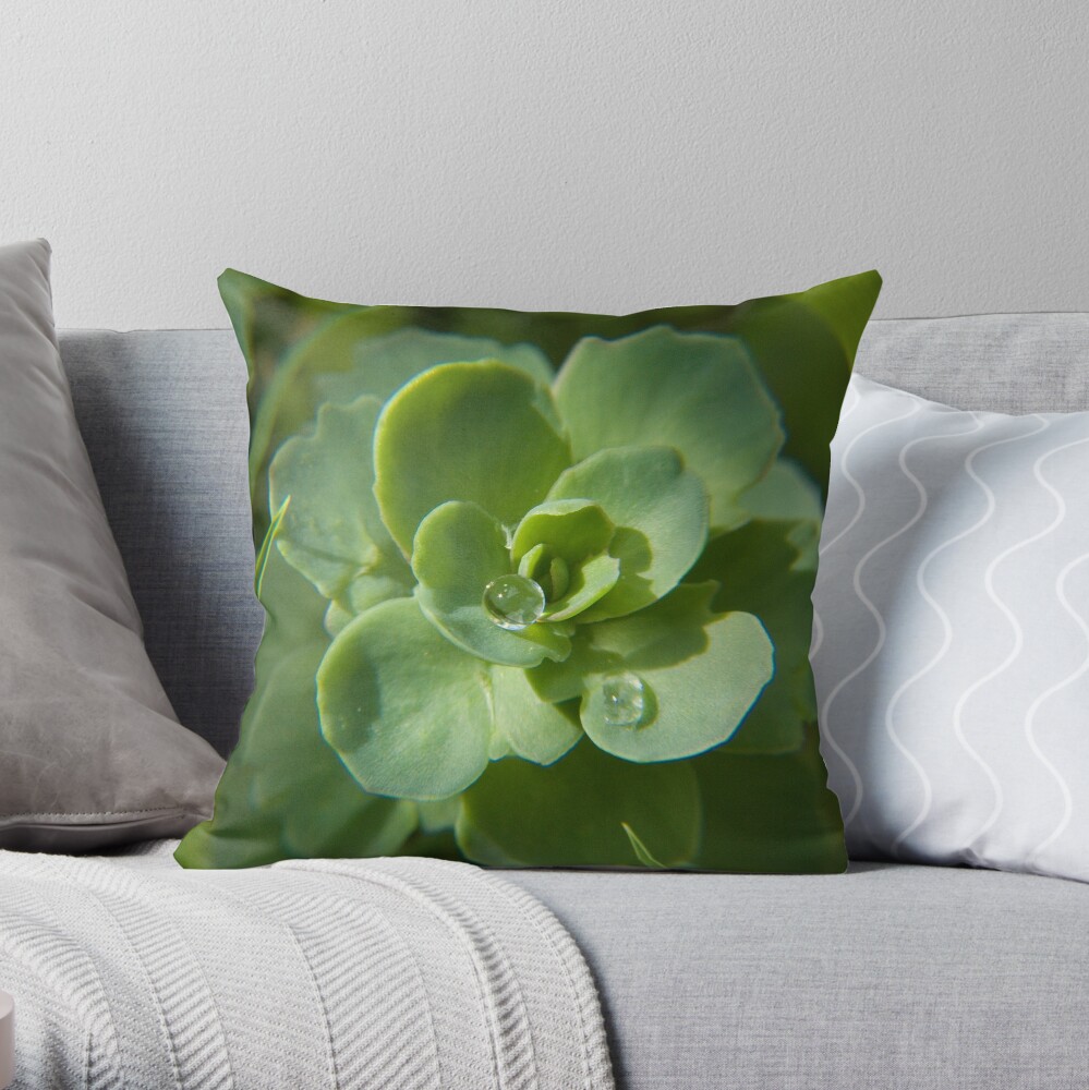 The Original Droplet Throw Pillow