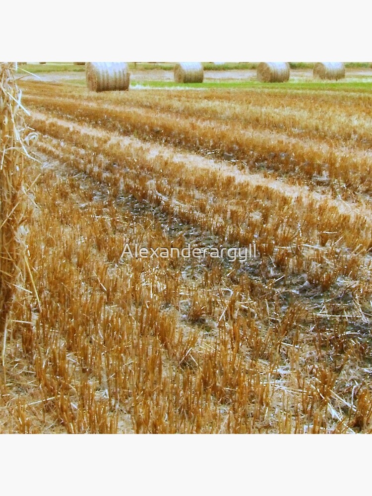 Bales by Alexanderargyll