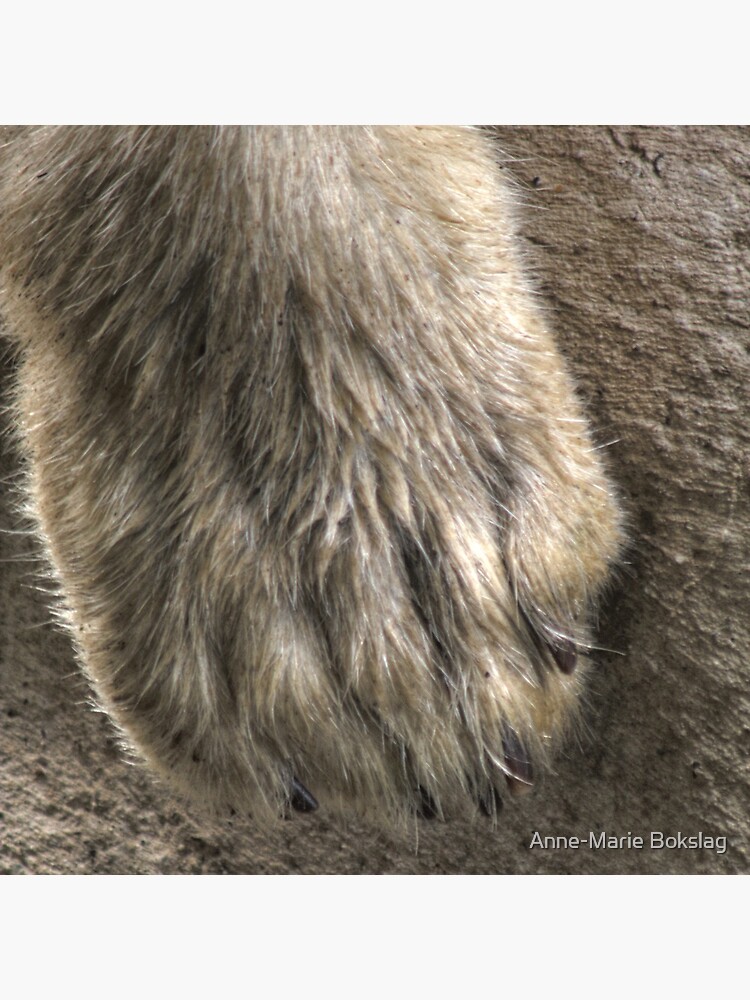 Dirty Paw by amb1946