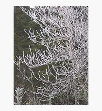 Rhyme Ice Photographic Print