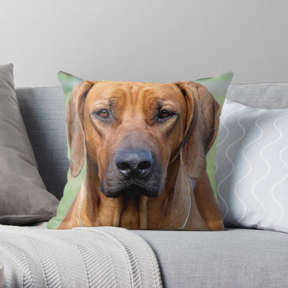 rhodesian ridgeback pillow