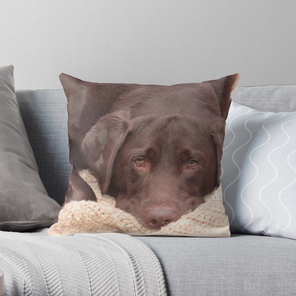 Chocolate Lab Throw Pillow