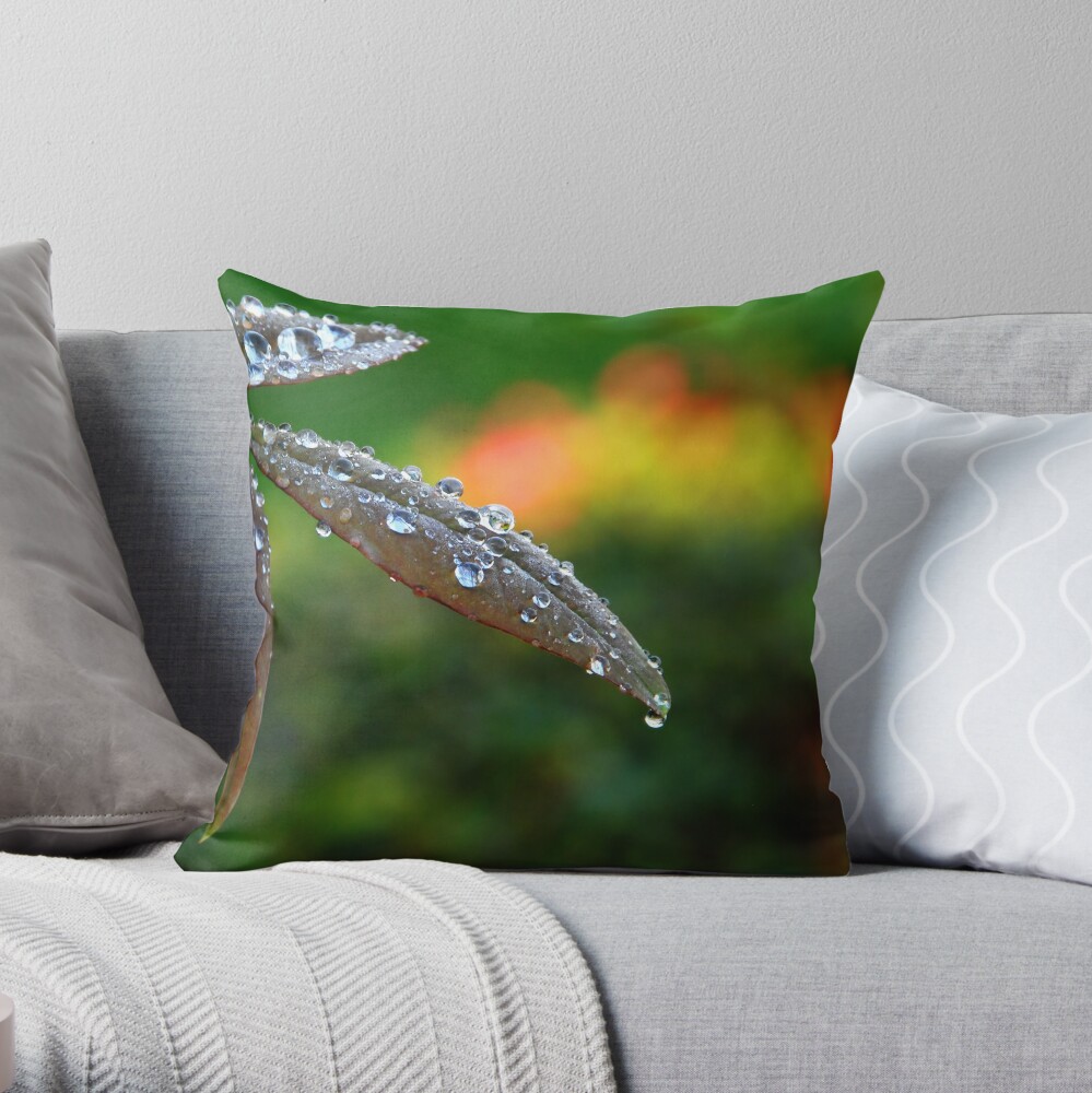 After the Storm Throw Pillow