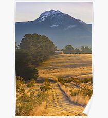 Early Morning, Mountain River, Tasmania #2 Poster