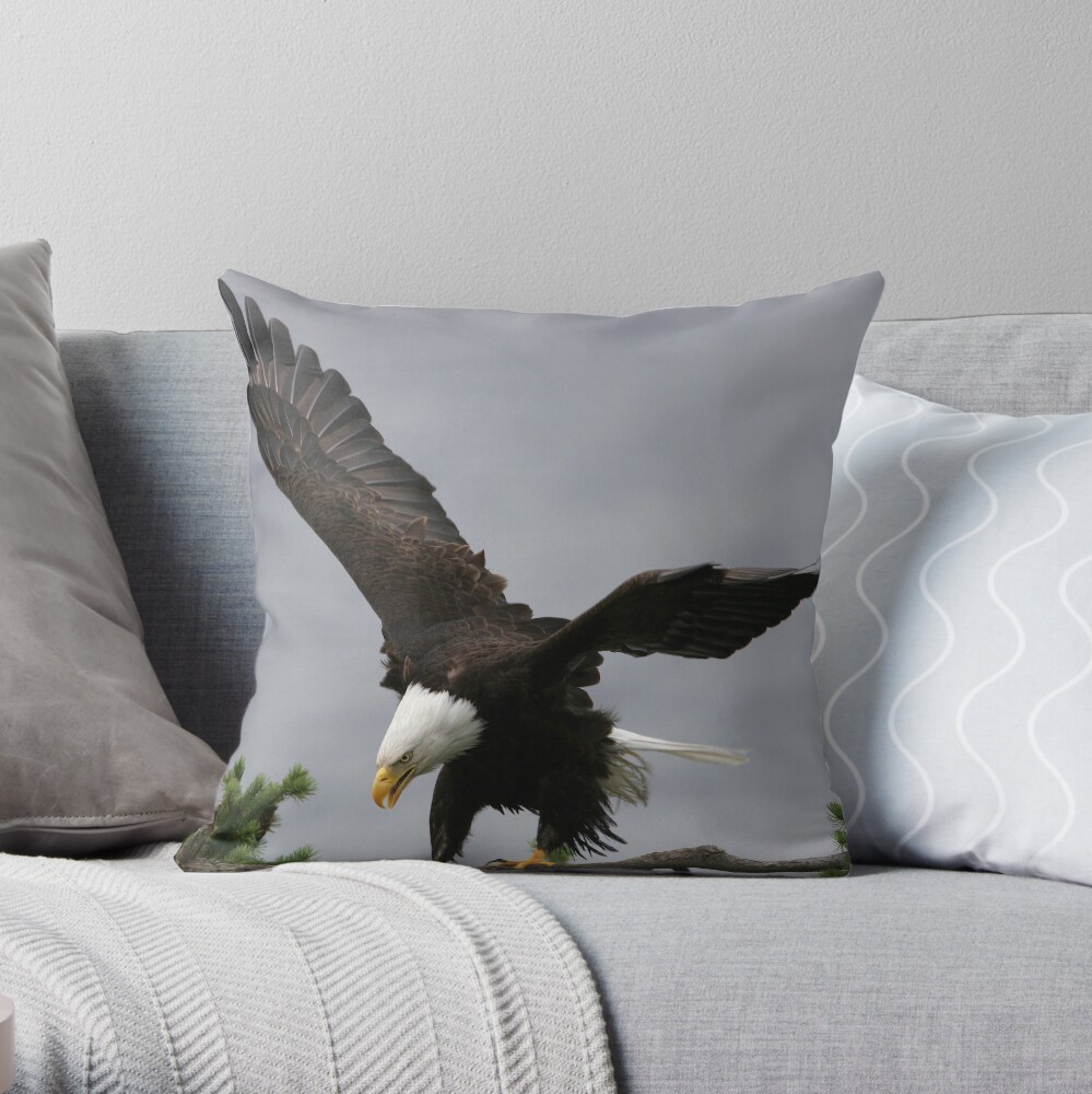 A Question Of Balance Throw Pillow