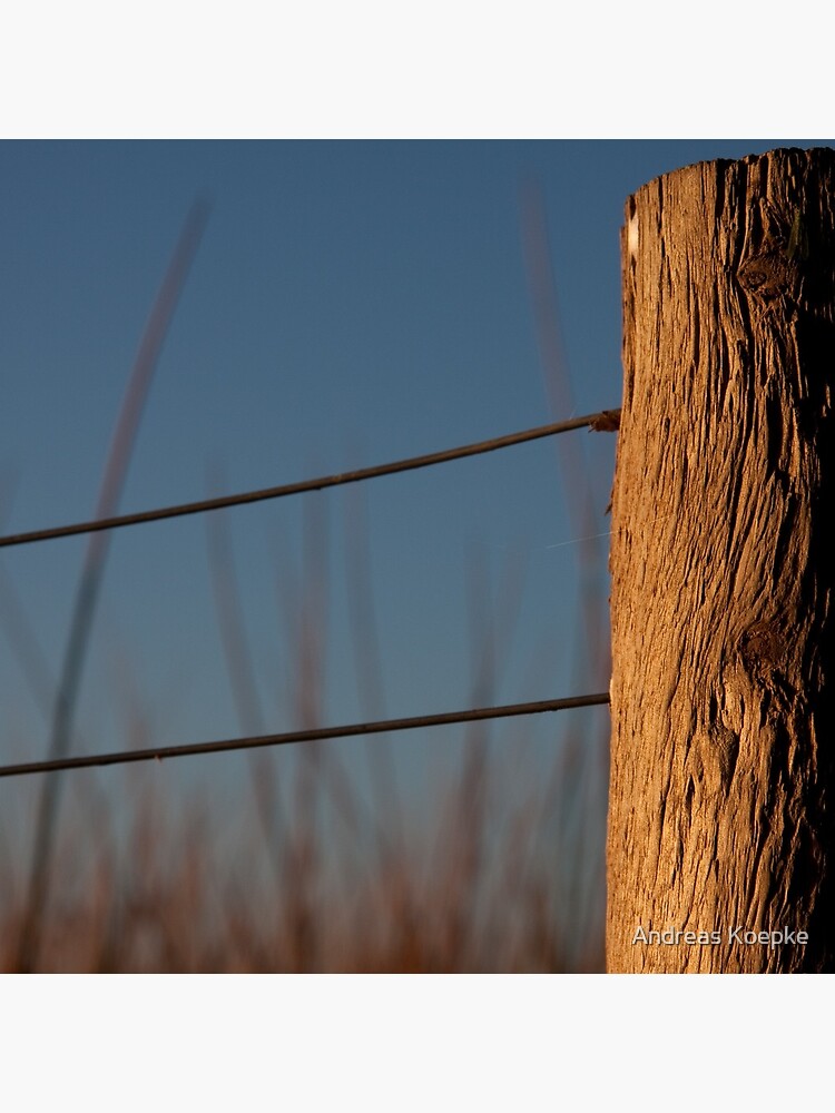 Texture by mistered
