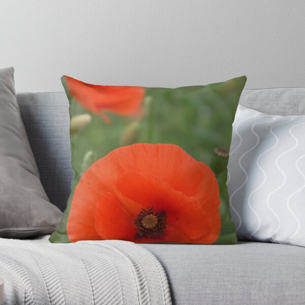 Authenticity... Throw Pillow