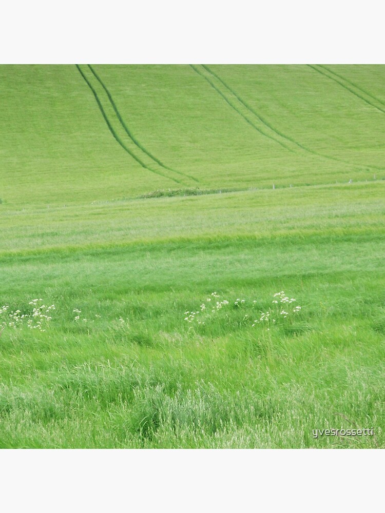 Green land by yvesrossetti