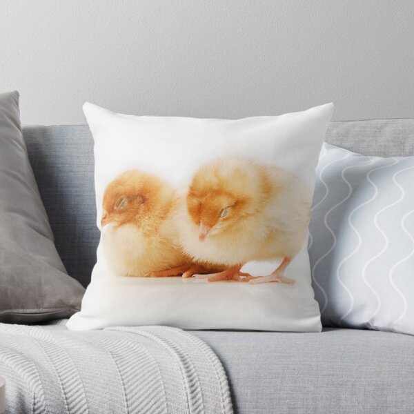 Pair of sleeping chicks Throw Pillow