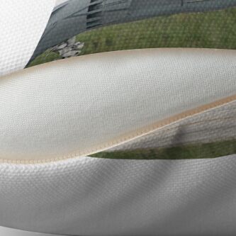 Alternate view of Harrier Throw Pillow