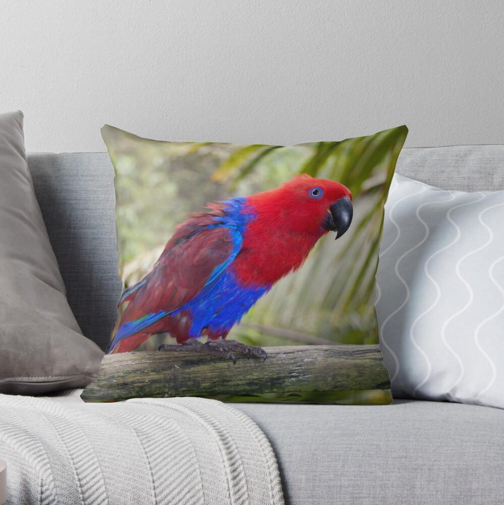 Big Red Throw Pillow