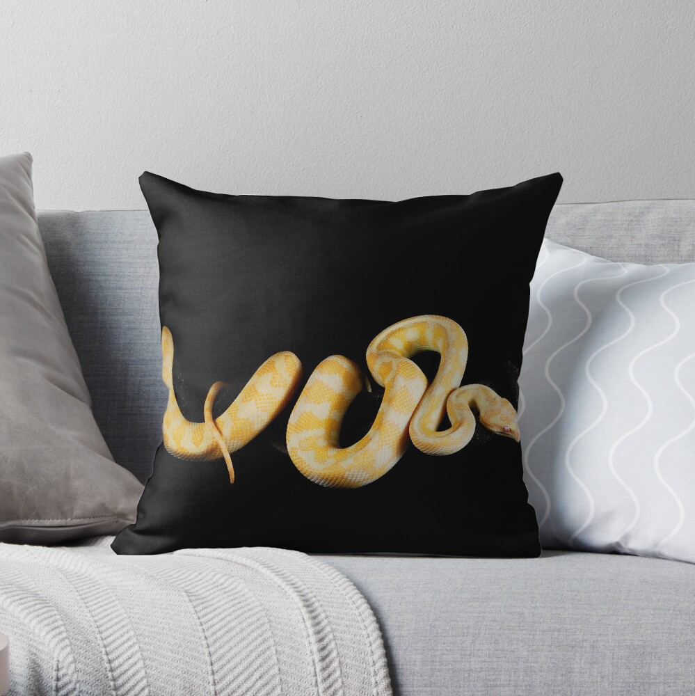 Albino Northern Territory Carpet Python (Morelia spilota variegata) Throw Pillow