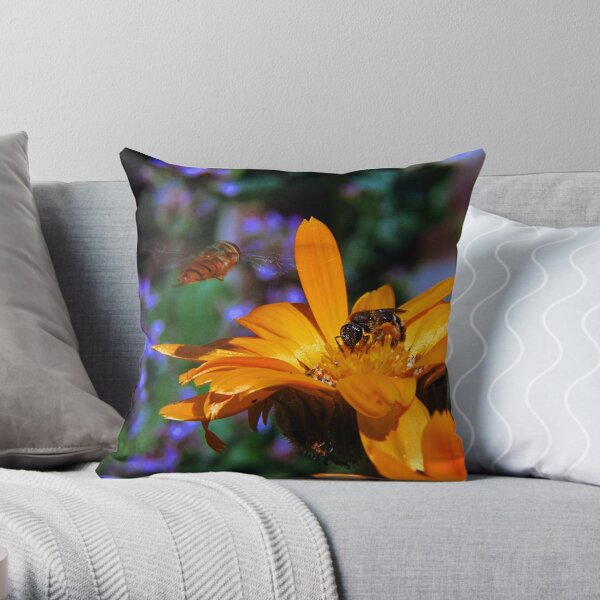 There May be Trouble Ahead Throw Pillow