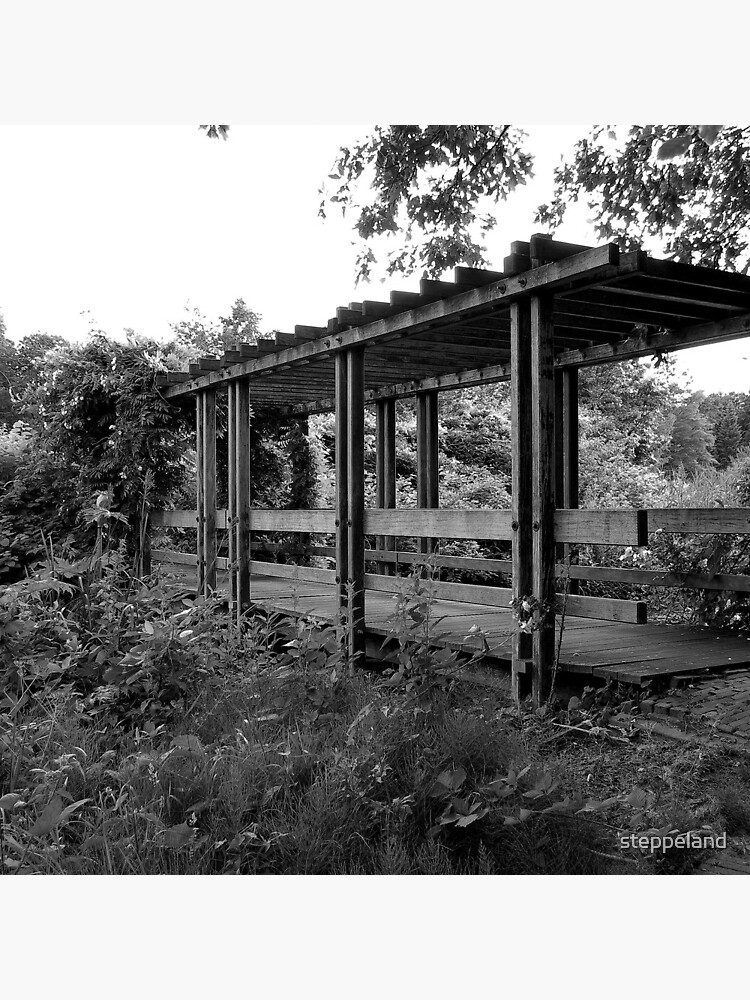 Wooden bridge to the rose garden by steppeland