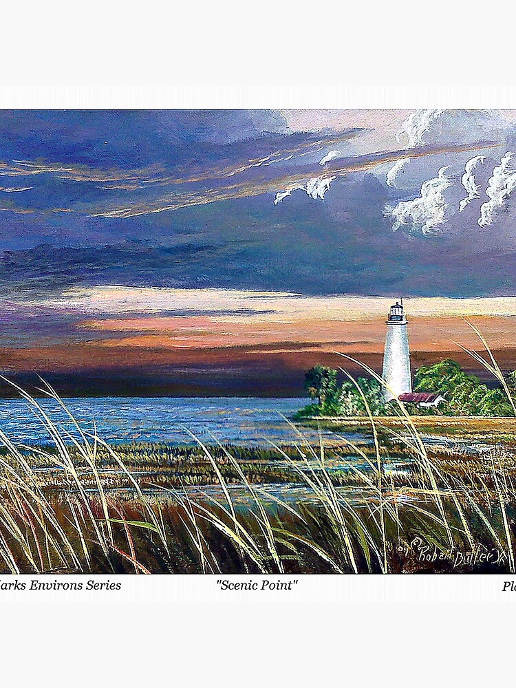 Scenic Point - St. Marks Light by cyberhighwaymen